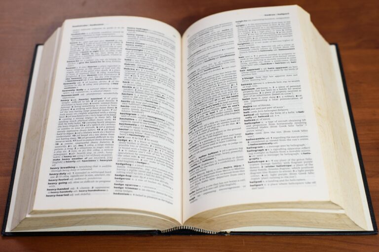 아무도 말해주지 않는 Korean vocabulary daily의 진실